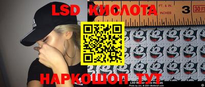 гашик Донской