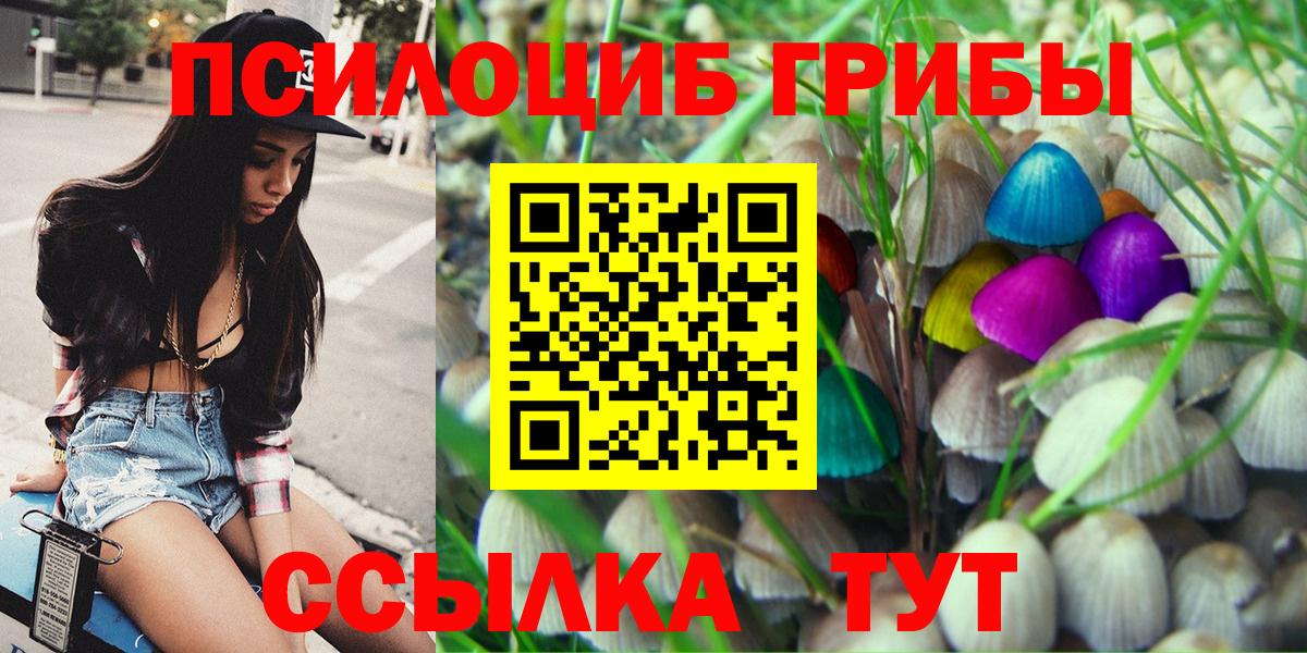 Галлюциногенные грибы мухоморы Копейск